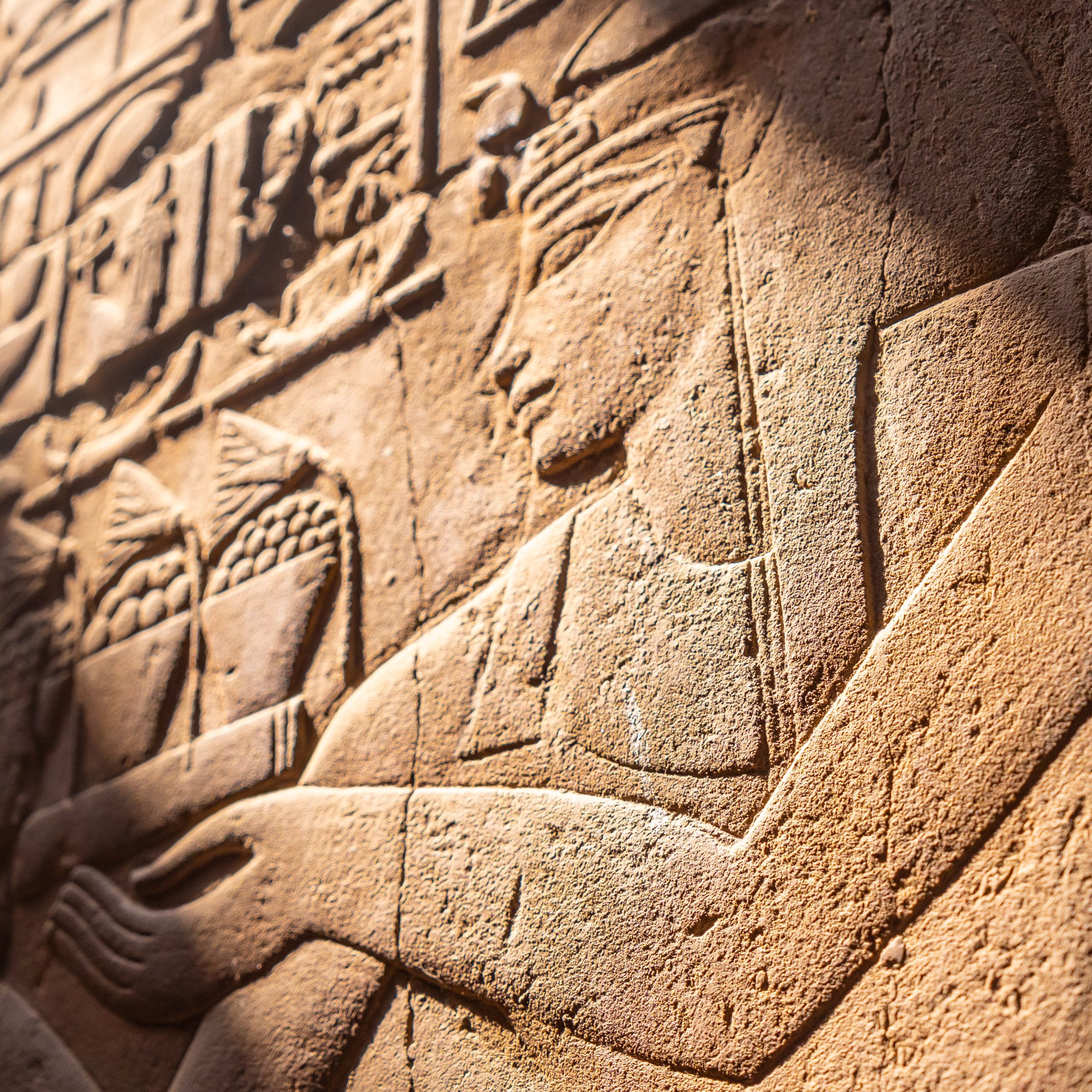 <span> Day 03 </span>Edfu – Luxor ON