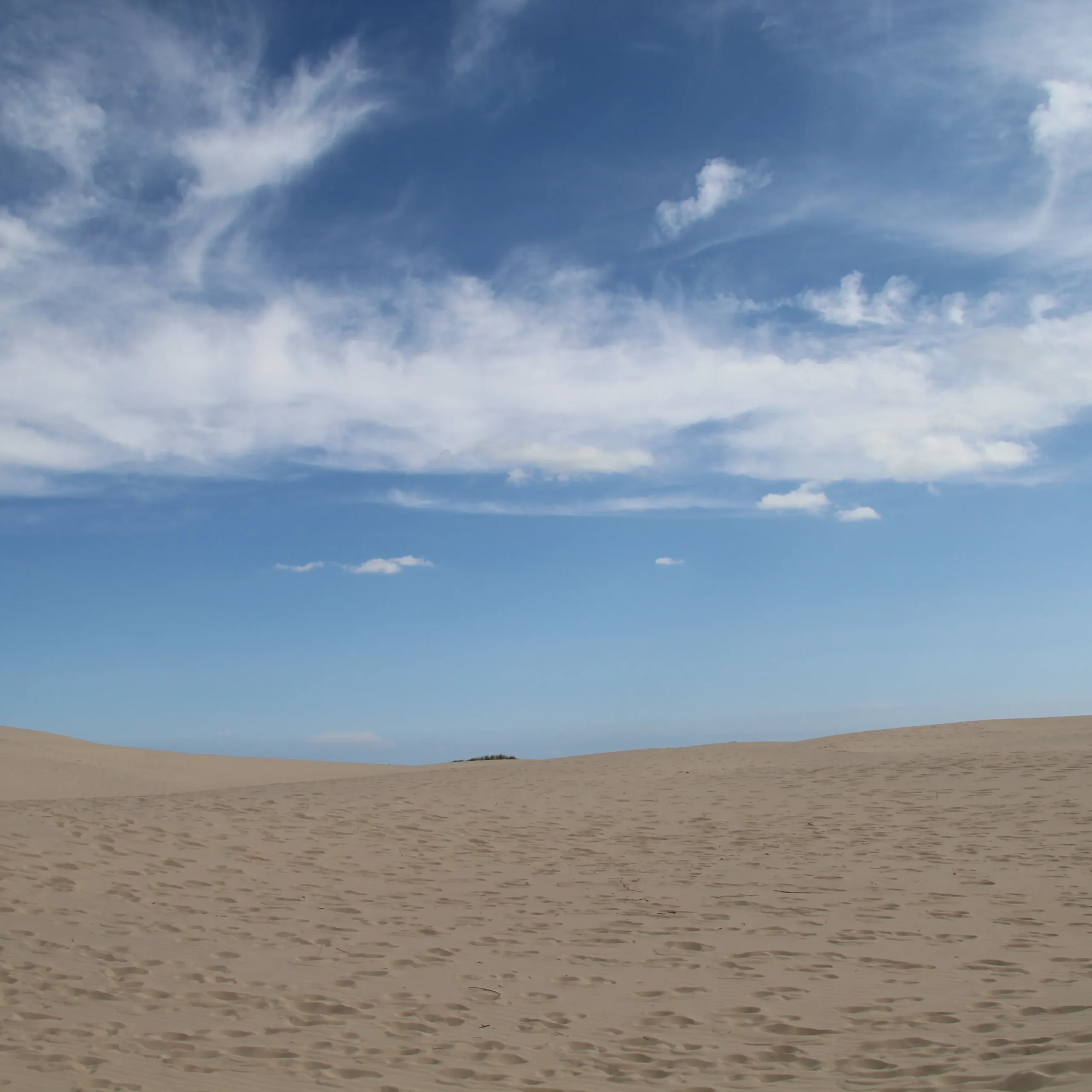 Desert of Saqqara Step Pyramid