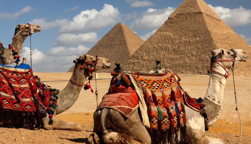 5 Reasons to Need a Professional Tour Operator for a Egypt Tour