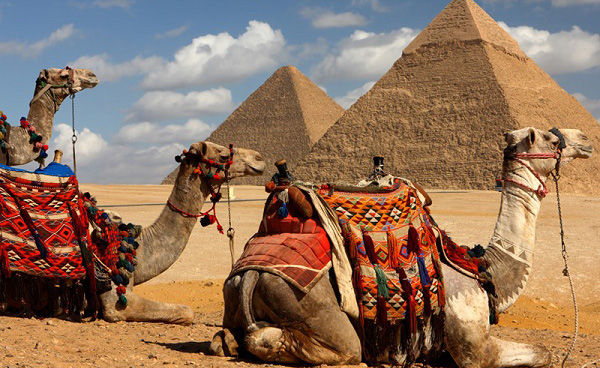 5 Reasons to Need a Professional Tour Operator for a Egypt Tour
