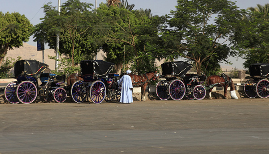 Discover the Timeless Charm of a Bedouin Village in Egypt