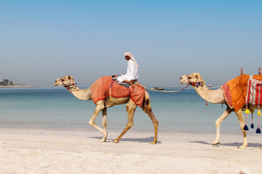 5 Days Dahabiya Nile River Cruise Luxor to Aswan