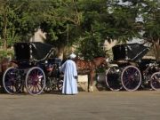 Aswan City Tour in Horse Carriage
