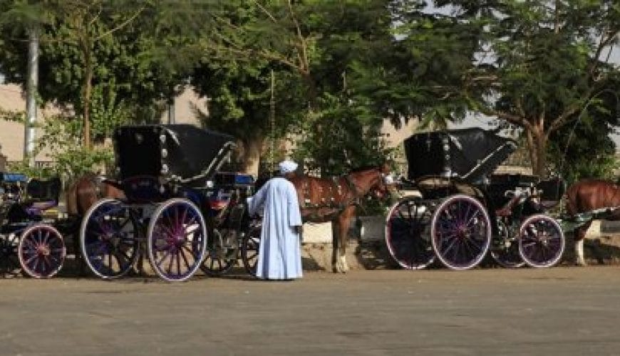 Aswan City Tour in Horse Carriage<span class="rmp-archive-results-widget rmp-archive-results-widget--not-rated"><i class=" rmp-icon rmp-icon--ratings rmp-icon--star "></i><i class=" rmp-icon rmp-icon--ratings rmp-icon--star "></i><i class=" rmp-icon rmp-icon--ratings rmp-icon--star "></i><i class=" rmp-icon rmp-icon--ratings rmp-icon--star "></i><i class=" rmp-icon rmp-icon--ratings rmp-icon--star "></i> <span>0 (0)</span></span>