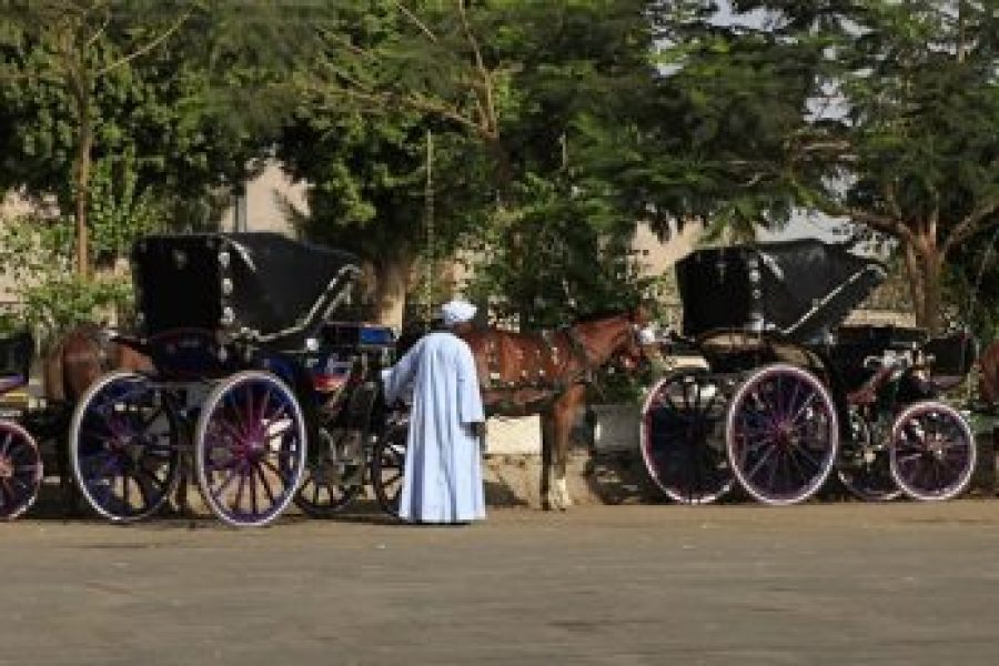 Aswan City Tour in Horse Carriage