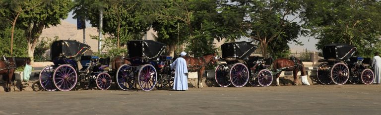 <span> Day 04 </span>Aswan City Tour