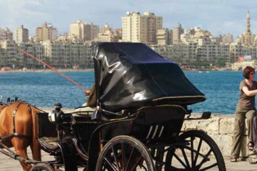 Day Trip to Alexandria Sights from Alexandria Port