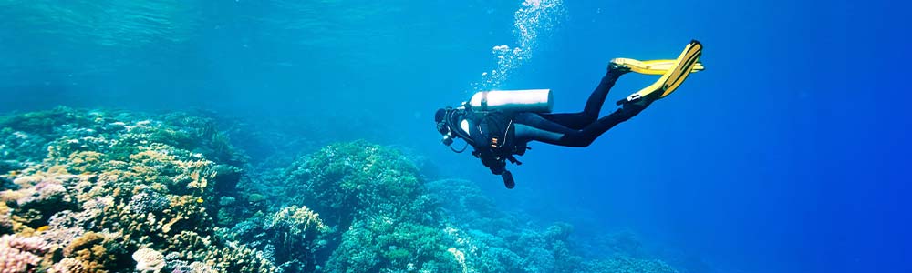 <span> Tour Itinerary </span> Discover Scuba Diving from Safaga Port