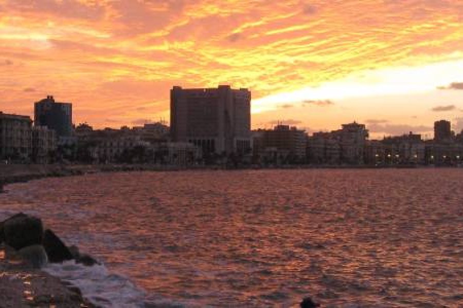 2 Days Tour to Cairo and Alexandria From Alexandria Port