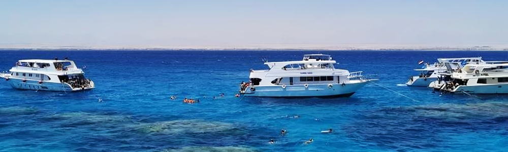 <span> The Itinerary Of Snorkeling Excursion from Marsa Alam </span>