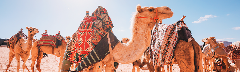 <span>Tour Itinerary</span> Cairo Pyramids day tour 