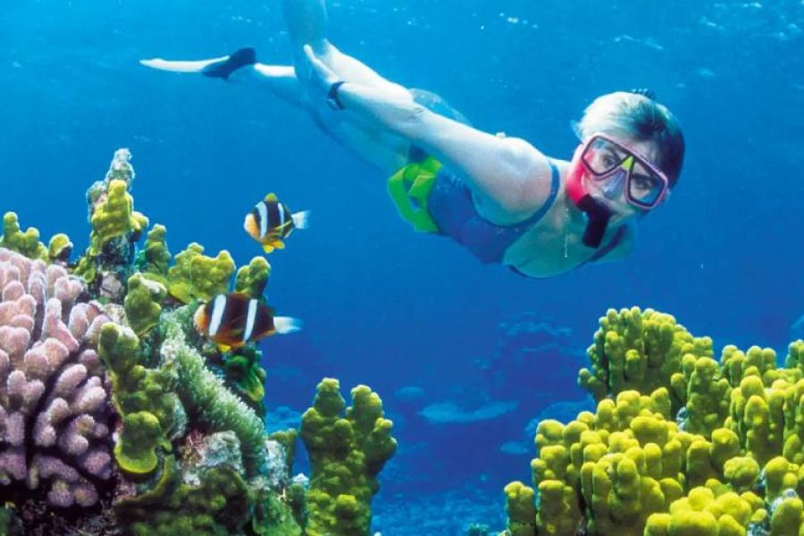 Snorkeling Trip from Safaga Port