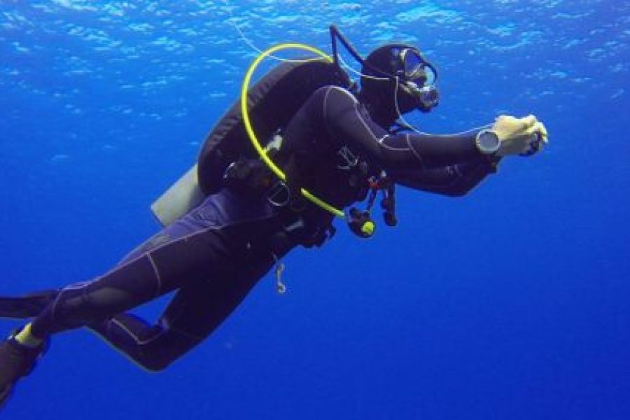 Discover Scuba Diving from Safaga Port