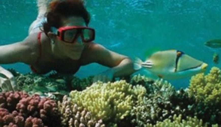 Hurghada Scuba Diving<span class="rmp-archive-results-widget rmp-archive-results-widget--not-rated"><i class=" rmp-icon rmp-icon--ratings rmp-icon--star "></i><i class=" rmp-icon rmp-icon--ratings rmp-icon--star "></i><i class=" rmp-icon rmp-icon--ratings rmp-icon--star "></i><i class=" rmp-icon rmp-icon--ratings rmp-icon--star "></i><i class=" rmp-icon rmp-icon--ratings rmp-icon--star "></i> <span>0 (0)</span></span>