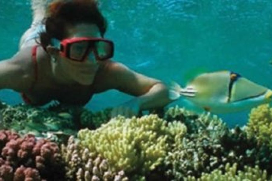 Snorkeling Experience at Mahmiya Island