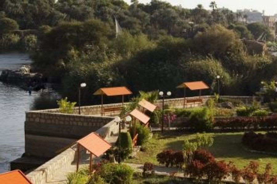 Private Day Tour to the Botanic Gardens & Museum