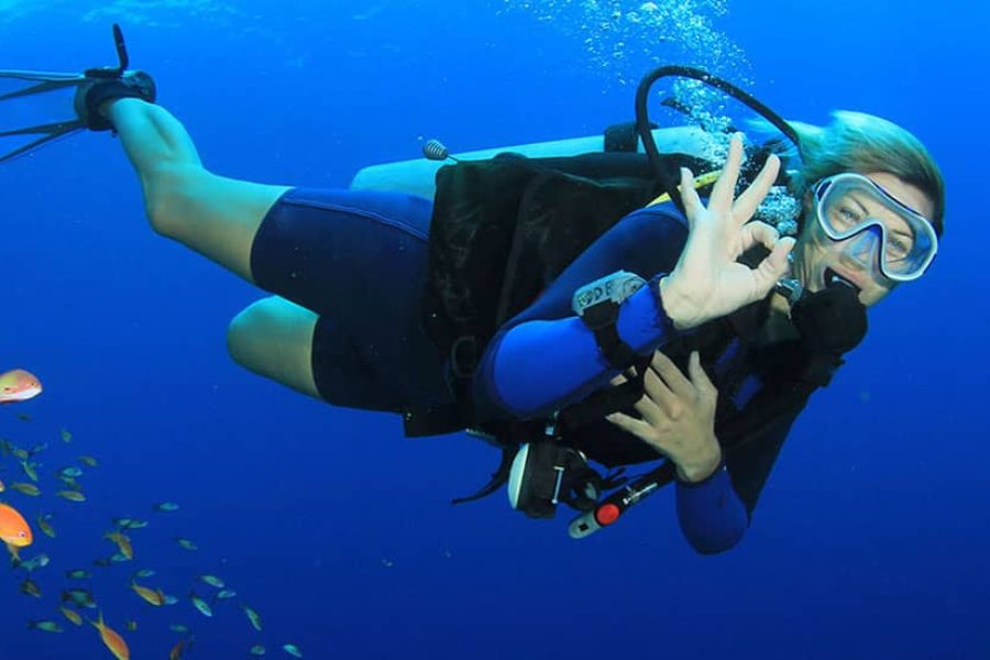 Snorkeling Adventure from Marsa Alam to Port Ghalib Marina