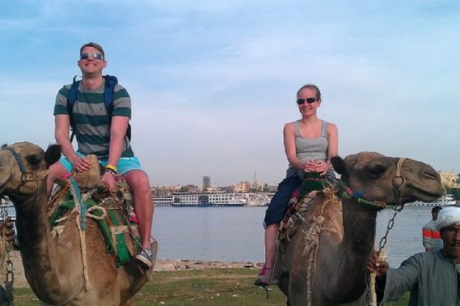 Luxor Camel Ride Adventure