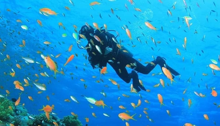 Marsa Alam Scuba Diving Adventure<span class="rmp-archive-results-widget rmp-archive-results-widget--not-rated"><i class=" rmp-icon rmp-icon--ratings rmp-icon--star "></i><i class=" rmp-icon rmp-icon--ratings rmp-icon--star "></i><i class=" rmp-icon rmp-icon--ratings rmp-icon--star "></i><i class=" rmp-icon rmp-icon--ratings rmp-icon--star "></i><i class=" rmp-icon rmp-icon--ratings rmp-icon--star "></i> <span>0 (0)</span></span>
