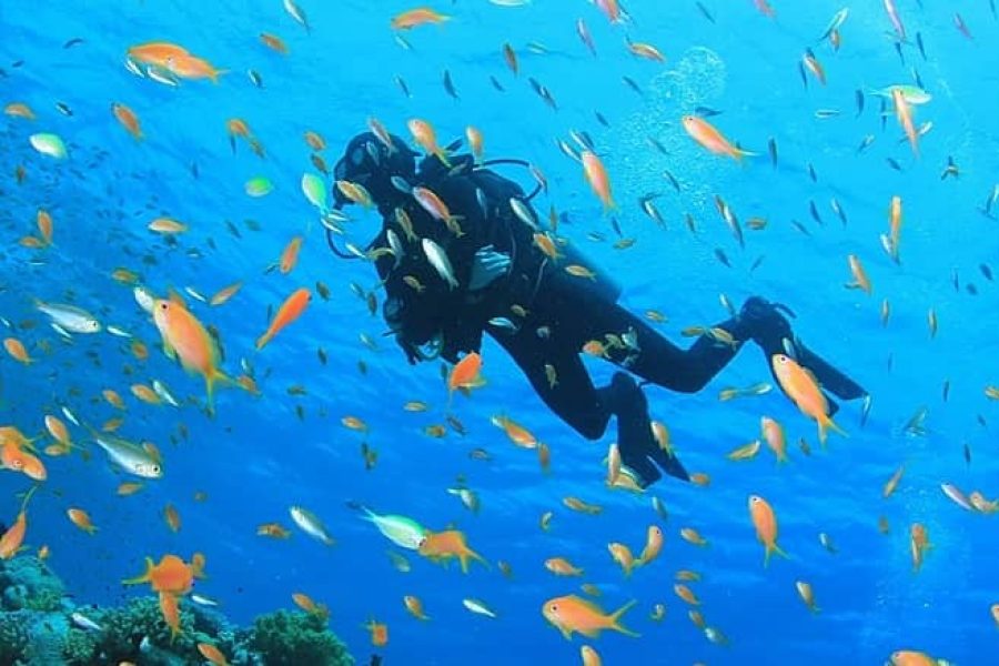 Marsa Alam Scuba Diving Adventure