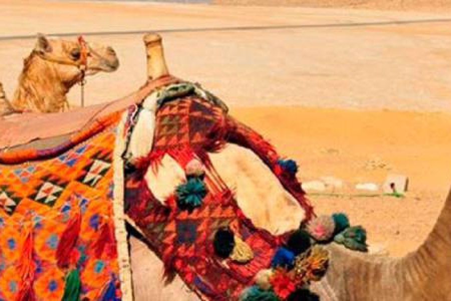 Pyramids Tour from Port Said