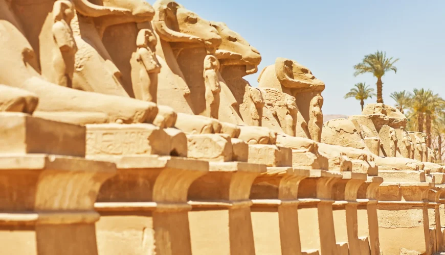 10 Days Cairo and Nile Cruise Tour<span class="rmp-archive-results-widget "><i class=" rmp-icon rmp-icon--ratings rmp-icon--star rmp-icon--full-highlight"></i><i class=" rmp-icon rmp-icon--ratings rmp-icon--star rmp-icon--full-highlight"></i><i class=" rmp-icon rmp-icon--ratings rmp-icon--star rmp-icon--full-highlight"></i><i class=" rmp-icon rmp-icon--ratings rmp-icon--star rmp-icon--half-highlight js-rmp-remove-half-star"></i><i class=" rmp-icon rmp-icon--ratings rmp-icon--star "></i> <span>3.4 (5)</span></span>