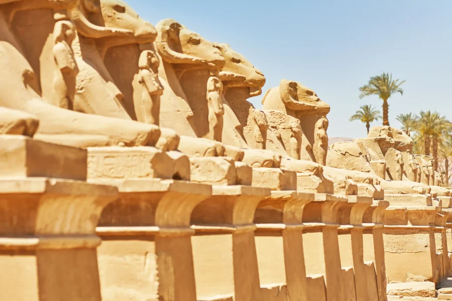 10 Days Cairo and Nile Cruise Tour