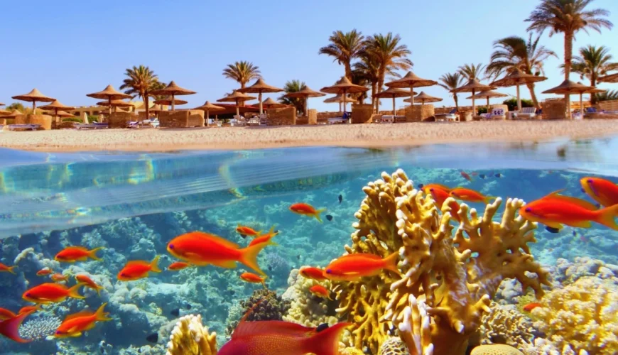12 Days Hurghada, Cairo and Dahabiy Cruise Holiday Package<span class="rmp-archive-results-widget rmp-archive-results-widget--not-rated"><i class=" rmp-icon rmp-icon--ratings rmp-icon--star "></i><i class=" rmp-icon rmp-icon--ratings rmp-icon--star "></i><i class=" rmp-icon rmp-icon--ratings rmp-icon--star "></i><i class=" rmp-icon rmp-icon--ratings rmp-icon--star "></i><i class=" rmp-icon rmp-icon--ratings rmp-icon--star "></i> <span>0 (0)</span></span>