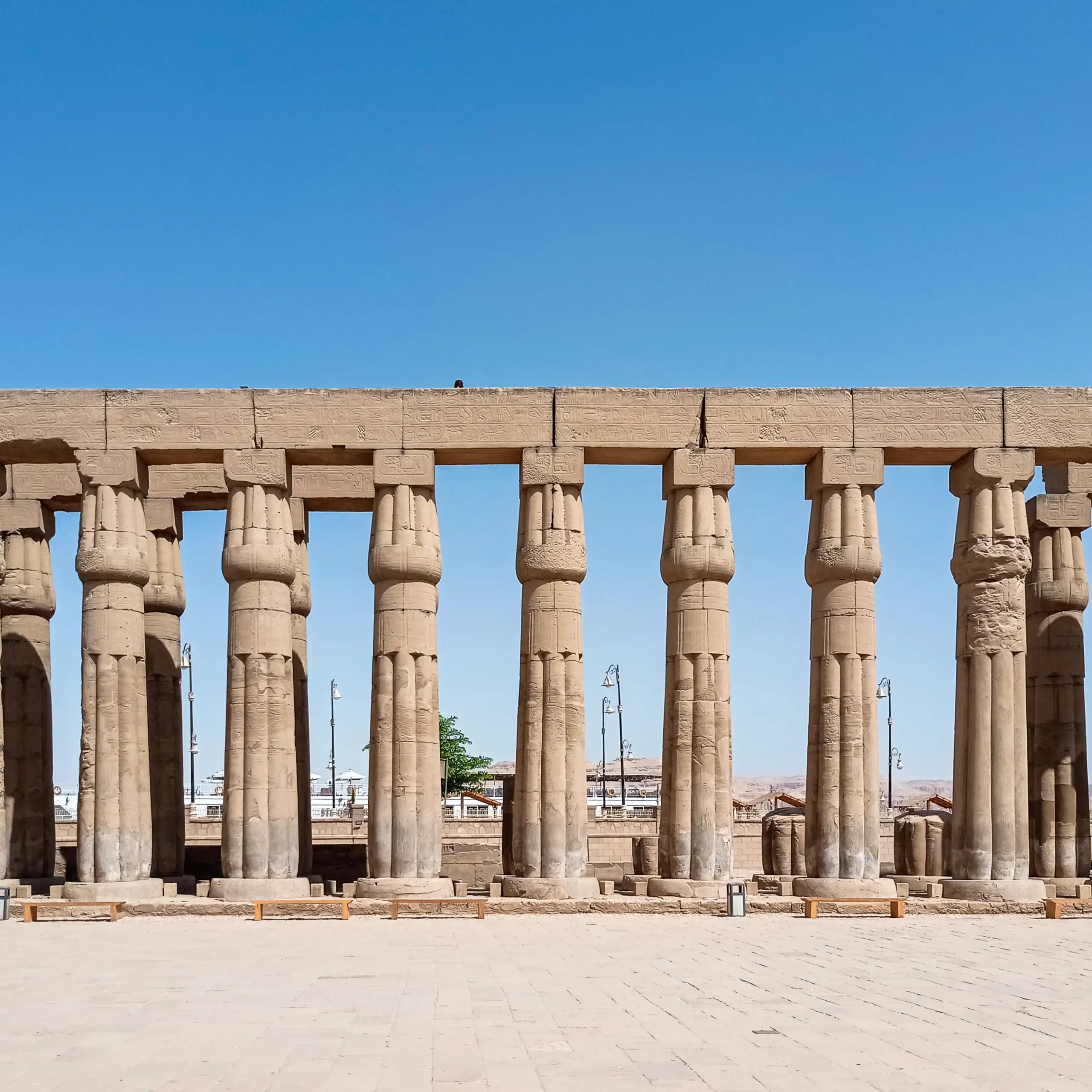 <span> Day 8 </span>