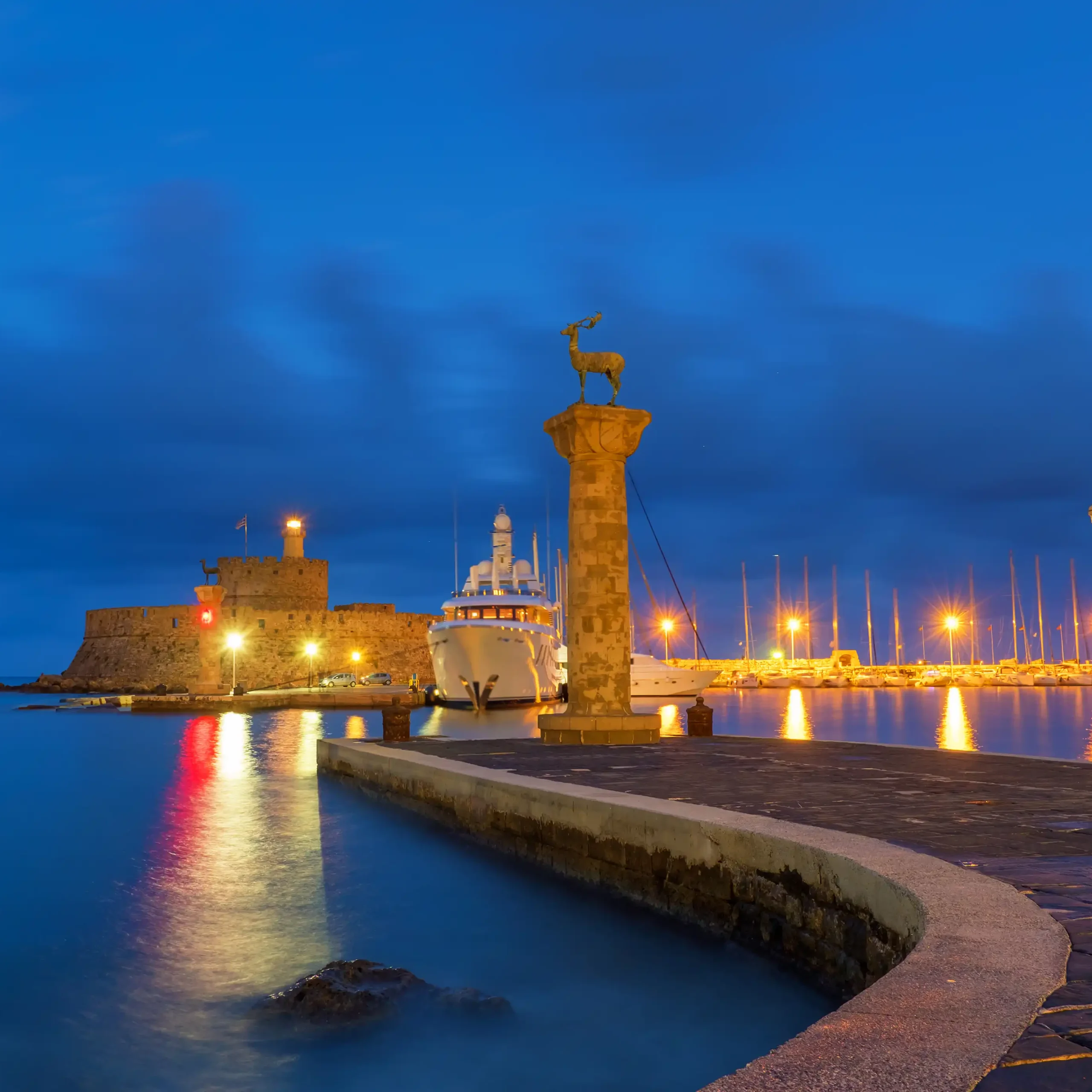 <span> Day 14 </span>