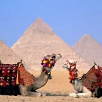 Things to Do in Cairo