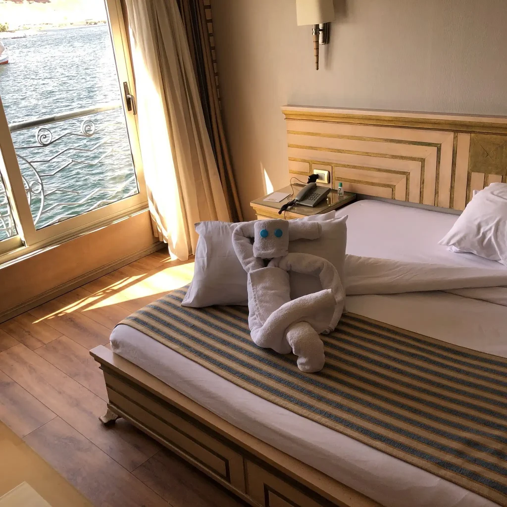 Luxury Cruise Room with Nile View