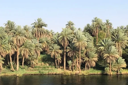 Kom Ombo and Edfu from Aswan
